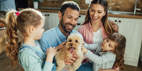 Pet Store Banner