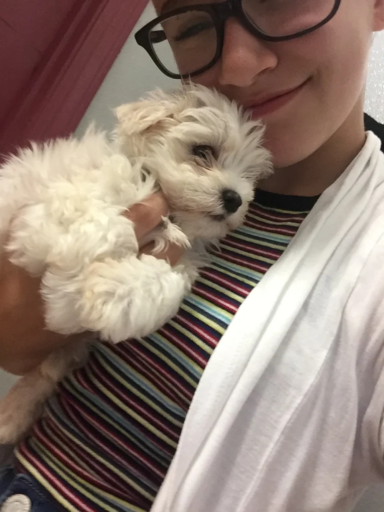 Girl holding a puppy at Petland Las Vegas